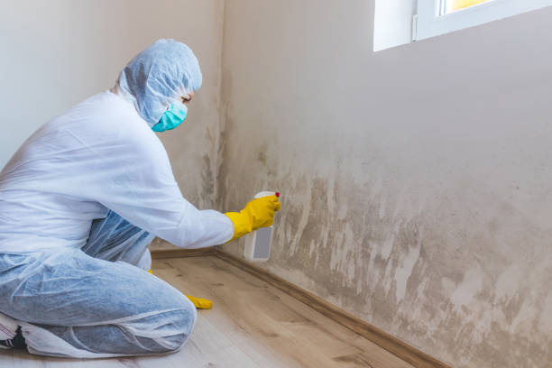 Mold inspector in Clifton performing thermal imaging